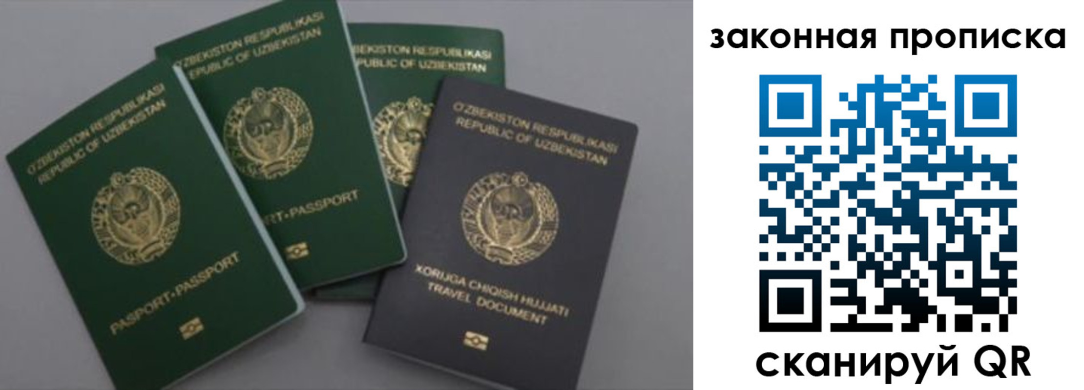 прописка законно в Энгельсе
